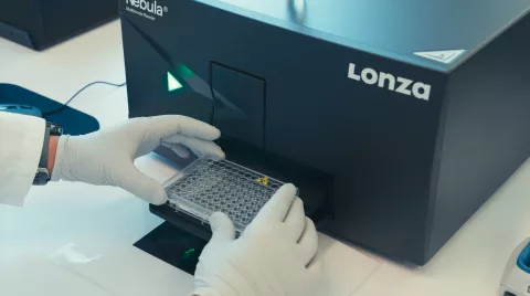 Échantillons prêts à être analysés