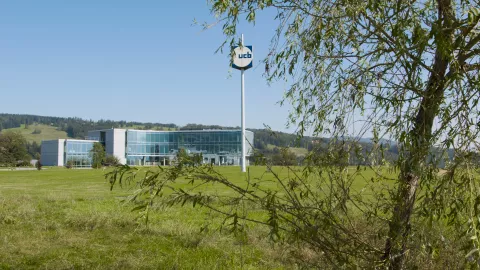 Bâtiment UCB à Bulle vu à travers des arbres
