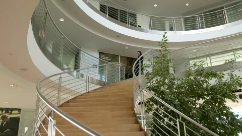 Femme descendant les escaliers